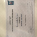 Powiększ obraz: certificate 7