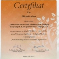 Powiększ obraz: certificate 9