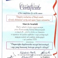 Powiększ obraz: certificate 7