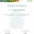 Powiększ obraz: certificate 23