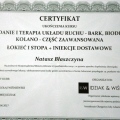 Powiększ obraz: certificate 5