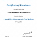 Powiększ obraz: certificate 31