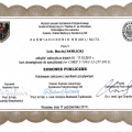 Powiększ obraz: certificate 29