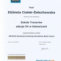 Powiększ obraz: certificate 4