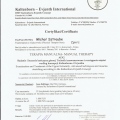 Powiększ obraz: certificate 15