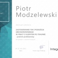 Powiększ obraz: certificate 12