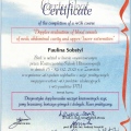 Powiększ obraz: certificate 2