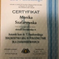 Powiększ obraz: certificate 8