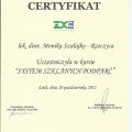 Powiększ obraz: certificate 6