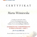 Powiększ obraz: certificate 13