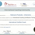 Powiększ obraz: certificate 2