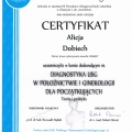 Powiększ obraz: certificate 2