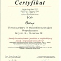 Powiększ obraz: certificate 11