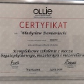 Powiększ obraz: certificate 4