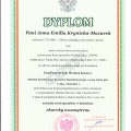 Powiększ obraz: certificate 2