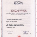 Powiększ obraz: certificate 1