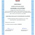 Powiększ obraz: certificate 2