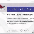 Powiększ obraz: certificate 19