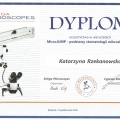 Powiększ obraz: certificate 2