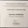 Powiększ obraz: certificate 29