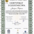 Powiększ obraz: certificate 8