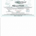 Powiększ obraz: certificate 29