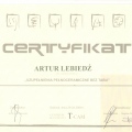 Powiększ obraz: certificate 45
