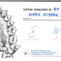 Powiększ obraz: certificate 8