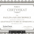 Powiększ obraz: certificate 88