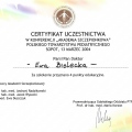 Powiększ obraz: certificate 13