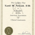 Powiększ obraz: certificate 4