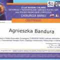 Powiększ obraz: certificate 6