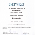 Powiększ obraz: certificate 6