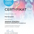 Powiększ obraz: certificate 1