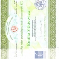 Powiększ obraz: certificate 5