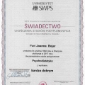 Powiększ obraz: certificate 1
