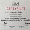 Powiększ obraz: certificate 5