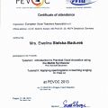 Powiększ obraz: certificate 20