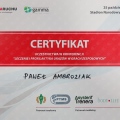 Powiększ obraz: certificate 24