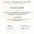 Powiększ obraz: certificate 2