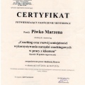 Powiększ obraz: certificate 16