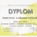 Powiększ obraz: certificate 2