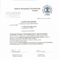 Powiększ obraz: certificate 2