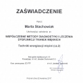 Powiększ obraz: certificate 26