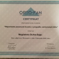 Powiększ obraz: certificate 22