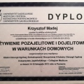 Powiększ obraz: certificate 4