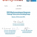 Powiększ obraz: certificate 2