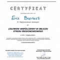 Powiększ obraz: certificate 10