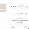 Powiększ obraz: certificate 7