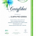 Powiększ obraz: certificate 3